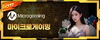 마이크로게이밍 카지노
