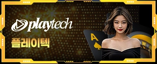 플레이텍